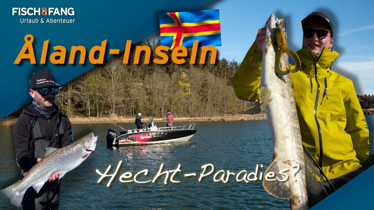 Hechte und Meerforellen auf Åland! Spinnfischen zwischen 6000 Inseln! 🎣