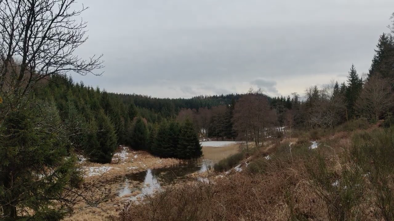 Schneeschmelze