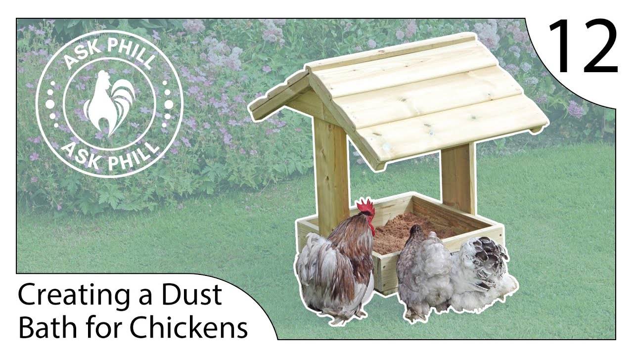 Keep Your Chickens Healthy with a Dust Bath - Tips & Tricks - Ask Phill 12