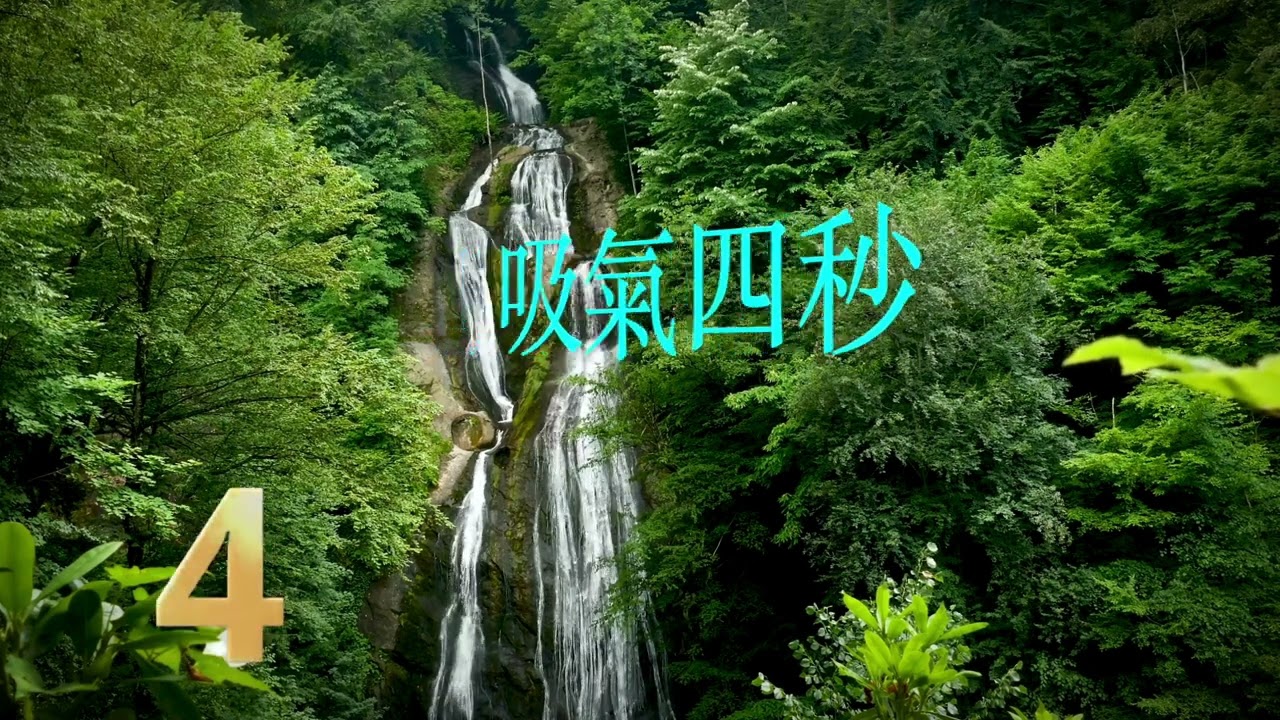 吸氣四秒 吐氣六秒  諧振式呼吸 1分鐘六次  15分鐘 諧振式呼吸練習   觀息 數息 釋放壓力  放空 靜心 冥想 幫助睡眠