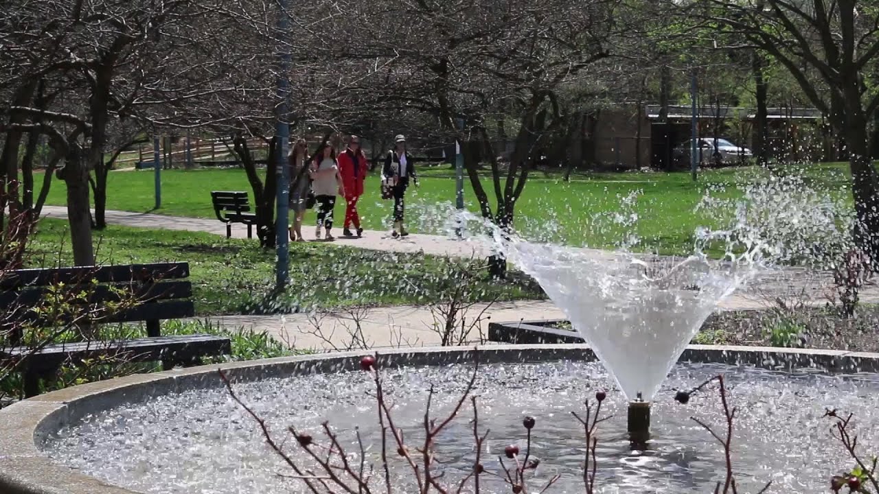 The Grid: Exploring Chicago's Hyde Park neighborhood