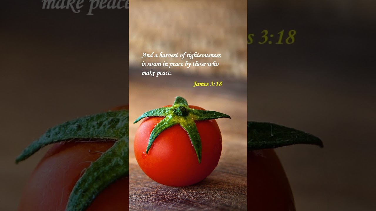 Bible verses | Harvest