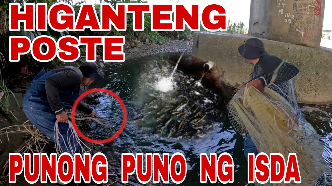 Pinaikutan Namin Ang Higanteng Poste Na Naglalaman Ng Mga Dambuhalang Isda