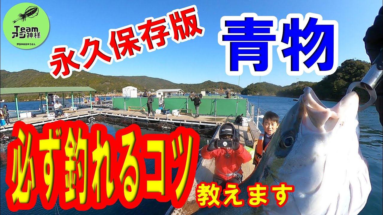 【海上釣堀】絶対釣れる青物必釣方法７選！コツ教えます【永久保存版】
