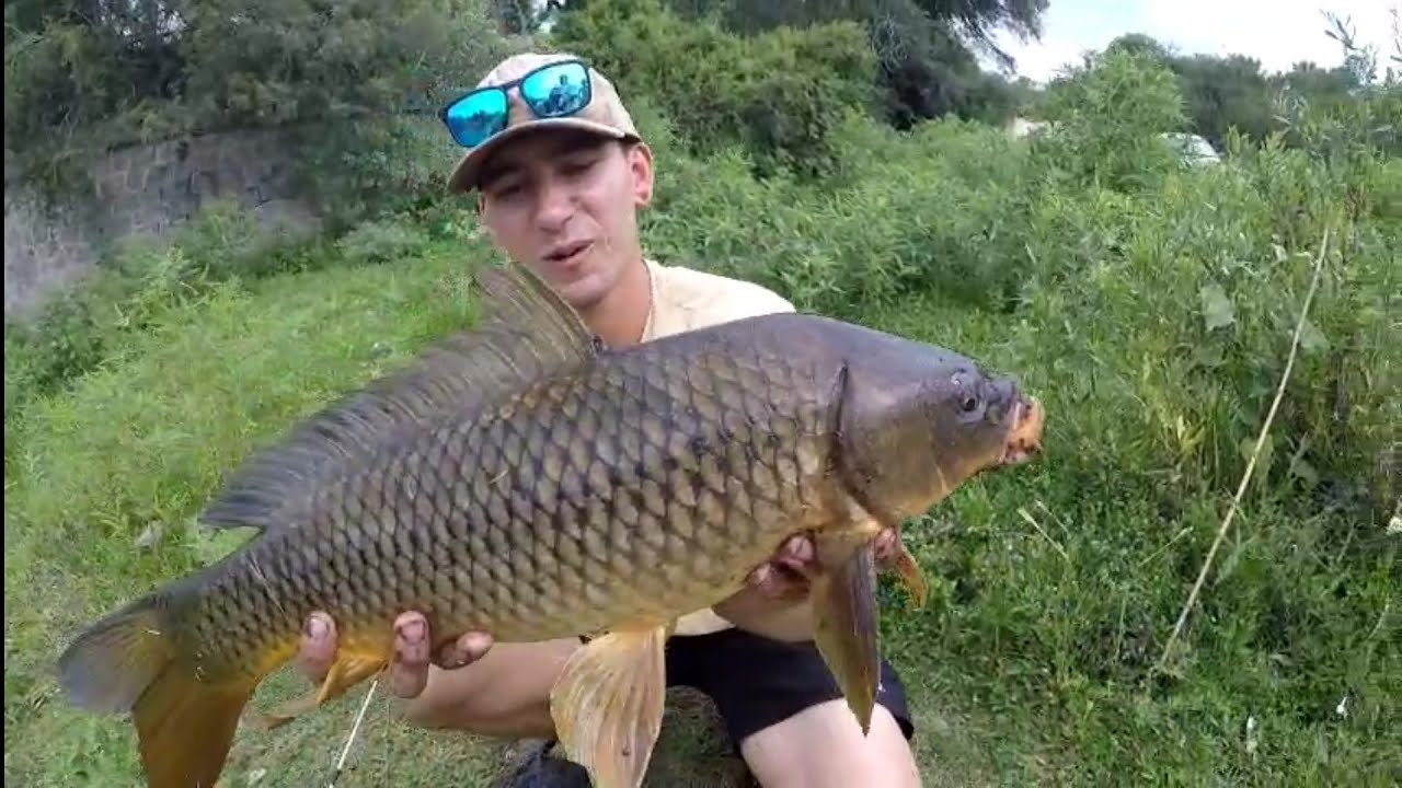 SALIERON LAS CARPAS!! PESCA DE CARPAS CON CARNADA!! CORDOBA ARGENTINA!!