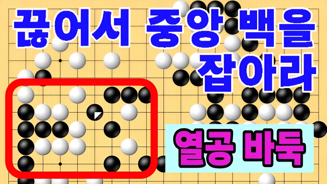 끊어서 중앙 백을 잡아라 열공바둑두기 타이젬 5단기보보기입니다  #바둑두기 #바둑초보 #바둑배우기 #gameplay #games #실제둔바둑보기 #게임 #왕초보
