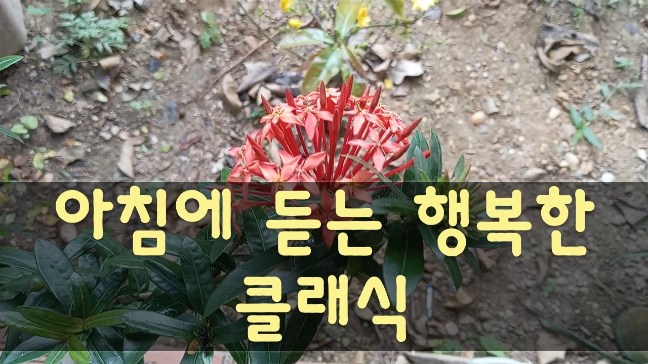 아침에 듣는 행복한 클래식!! 클래식 명곡