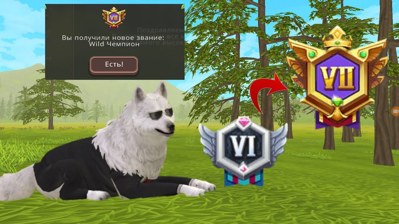 поднимаем ранг Wild Чемпион в WildCraft! СТЕПИ