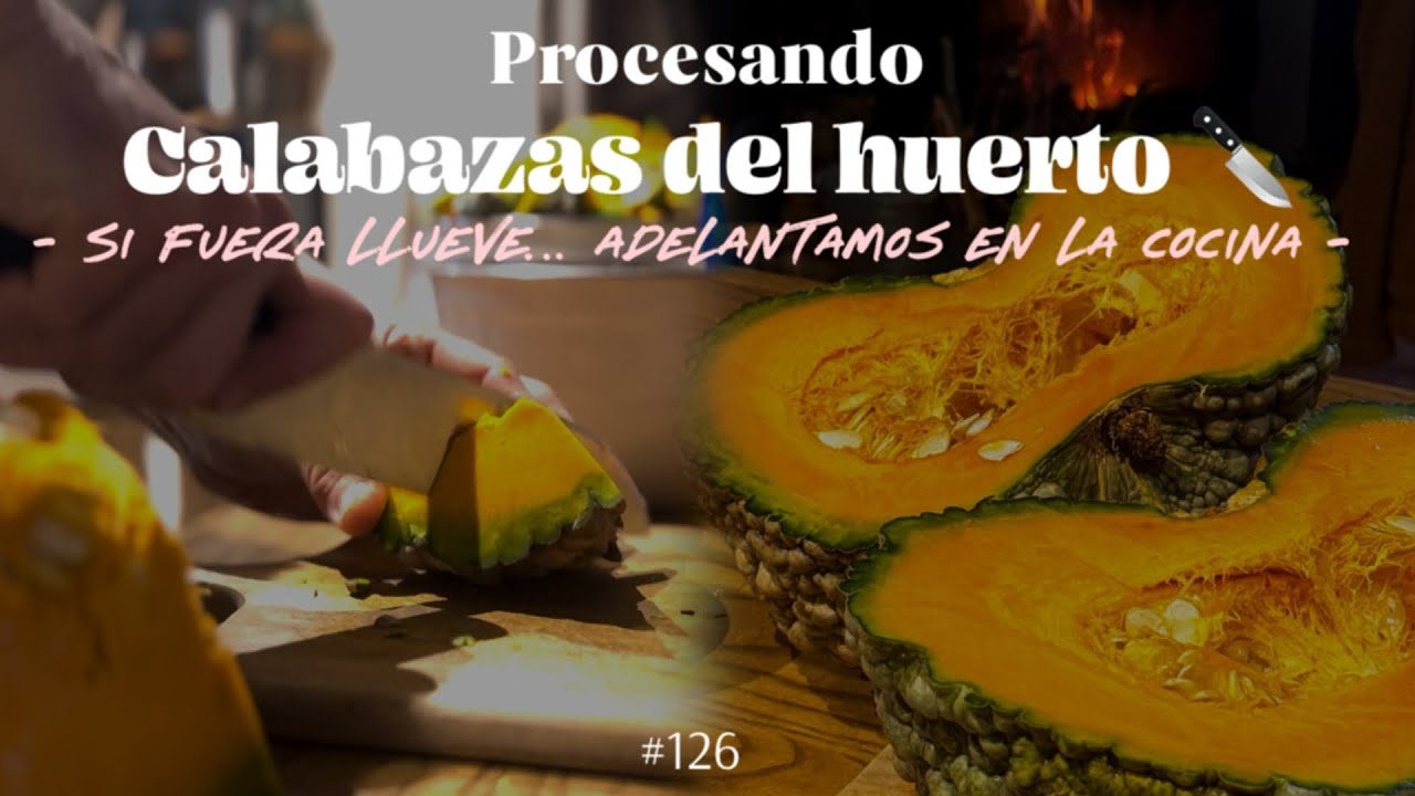 #126 | Ya se siente la primavera 🌸  preparando el césped del terreno y llegada de 🌧️🌧️