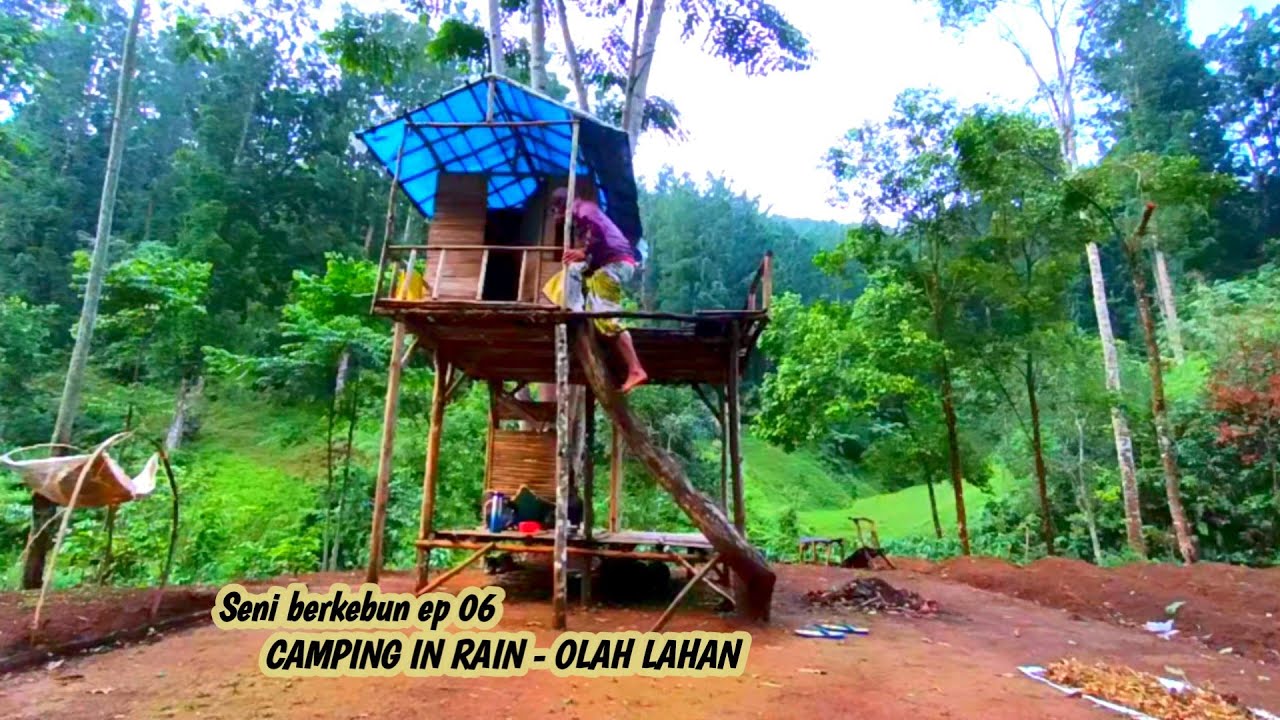 solo camping hujan deras di pondok kebun |  ASMR rain sound - suara alam hujan
