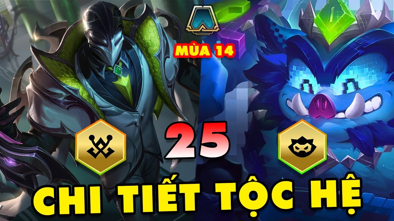 CHI TIẾT TO&Agrave;N TẬP 25 TỘC HỆ TRONG ĐTCL M&Ugrave;A 14: TH&Agrave;NH PHỐ C&Ocirc;NG NGHỆ | TFT SET 14