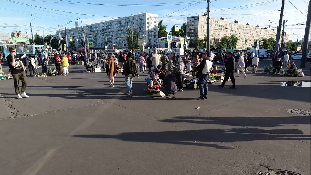 Дыбенко. Июнь 2021.