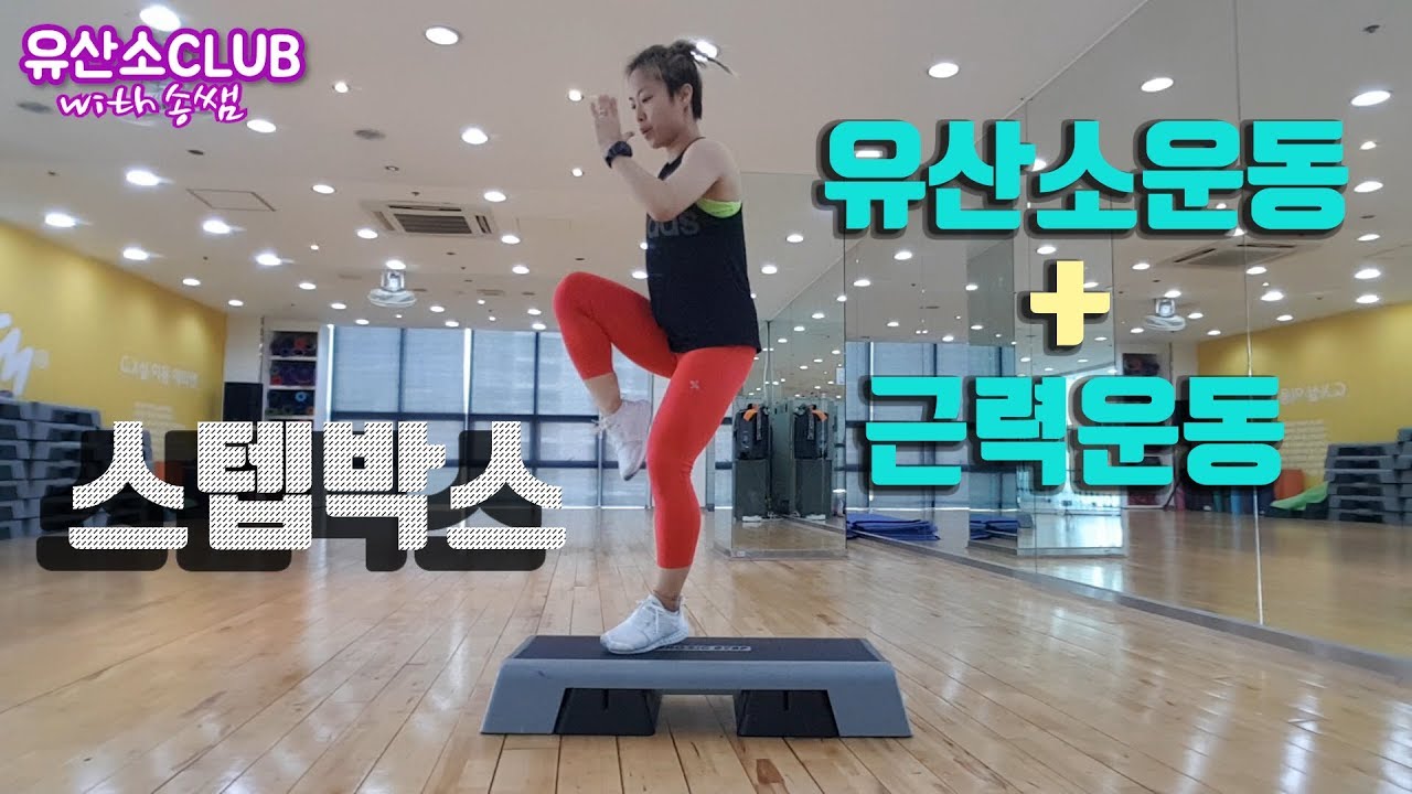 Lesson44. 스텝박스 근지구력 운동|PT해드릴게요. 저만 따라오세요. lesson100까지 달려보자고요!!!