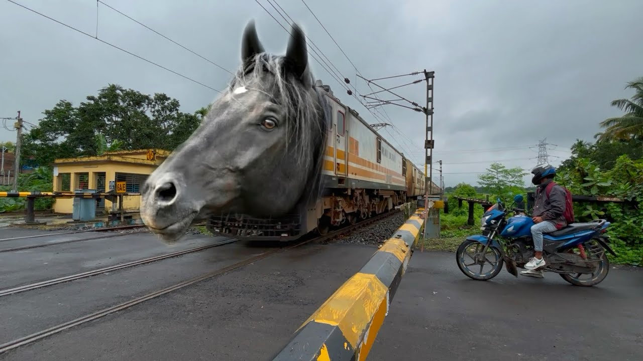 Dangerous Horse Headed Malda Intercity Express + Rajdhani Express Furious Skip Railgate