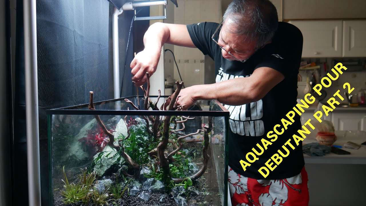 AQUASCAPING POUR DEBUTANT  2 EM PARTI   2022