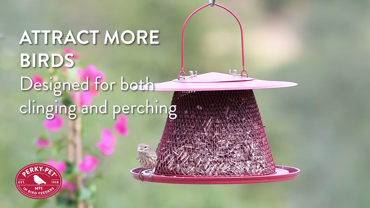 Perky-Pet&reg; Red Cardinal Bird Feeder | Benefits