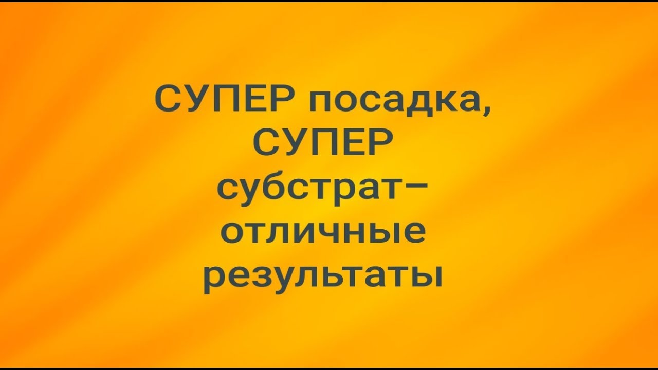 Альтернативный субстрат для орхидей: МЕГА результат 💥 после 5 мес.тестирования