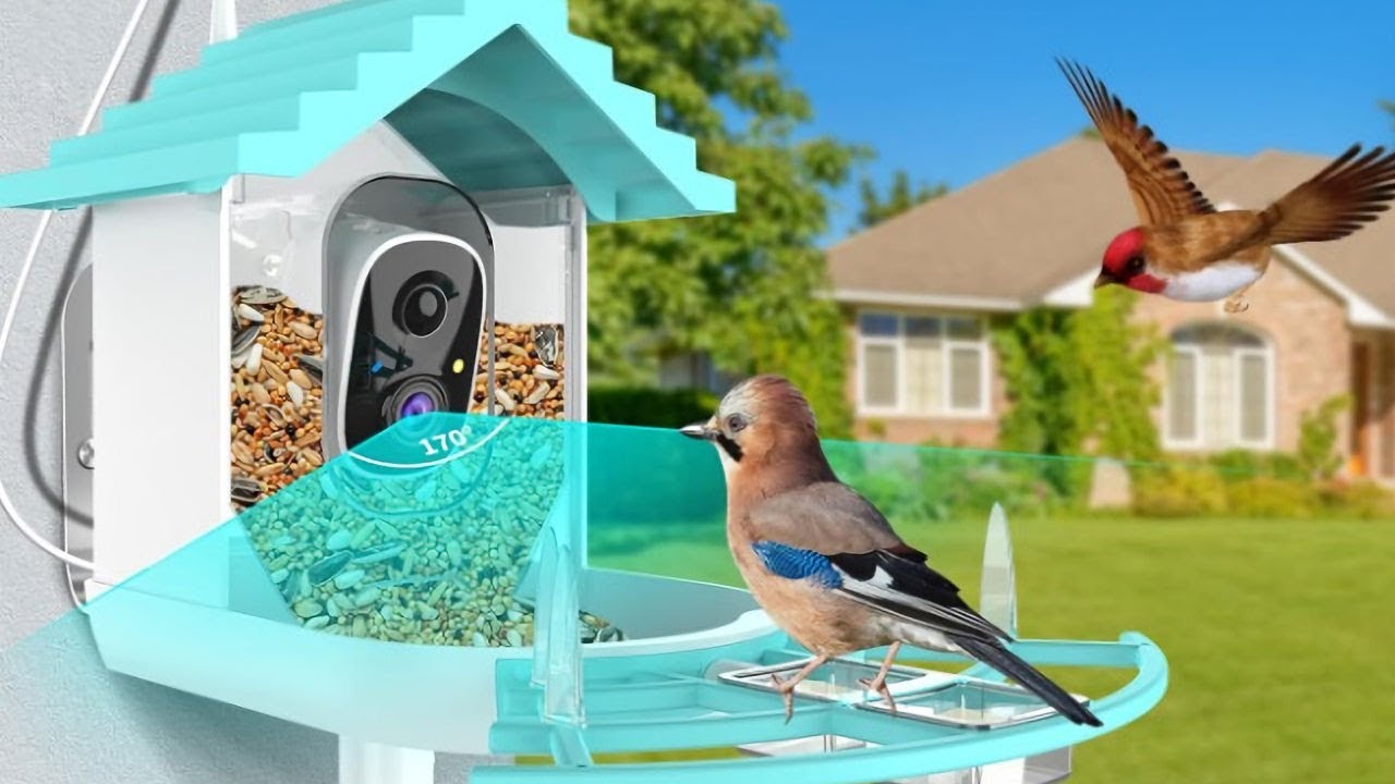 Мой обзор умной кормушки для птиц Vico Home.