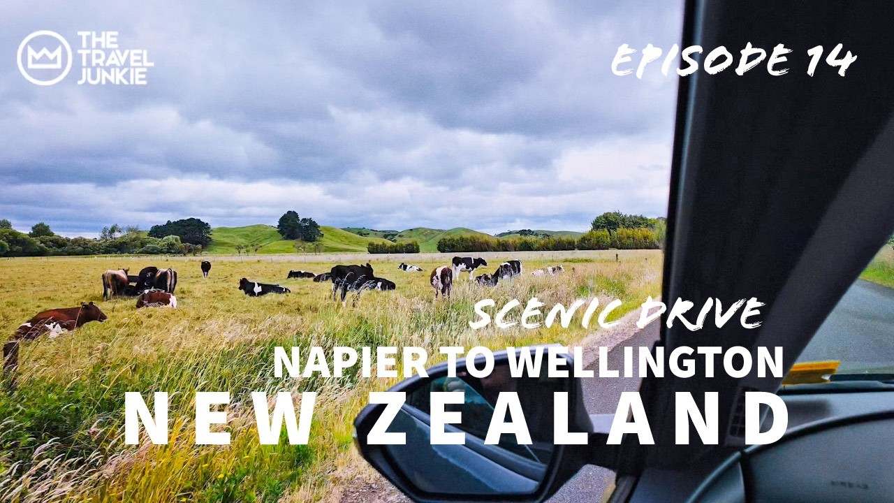 SCENIC DRIVE NAPIER TO WELLINGTON VIA NORSEWOOD LITTLE NORDIC | NEW ZEALAND | NORTH ISLAND ROADTRIP