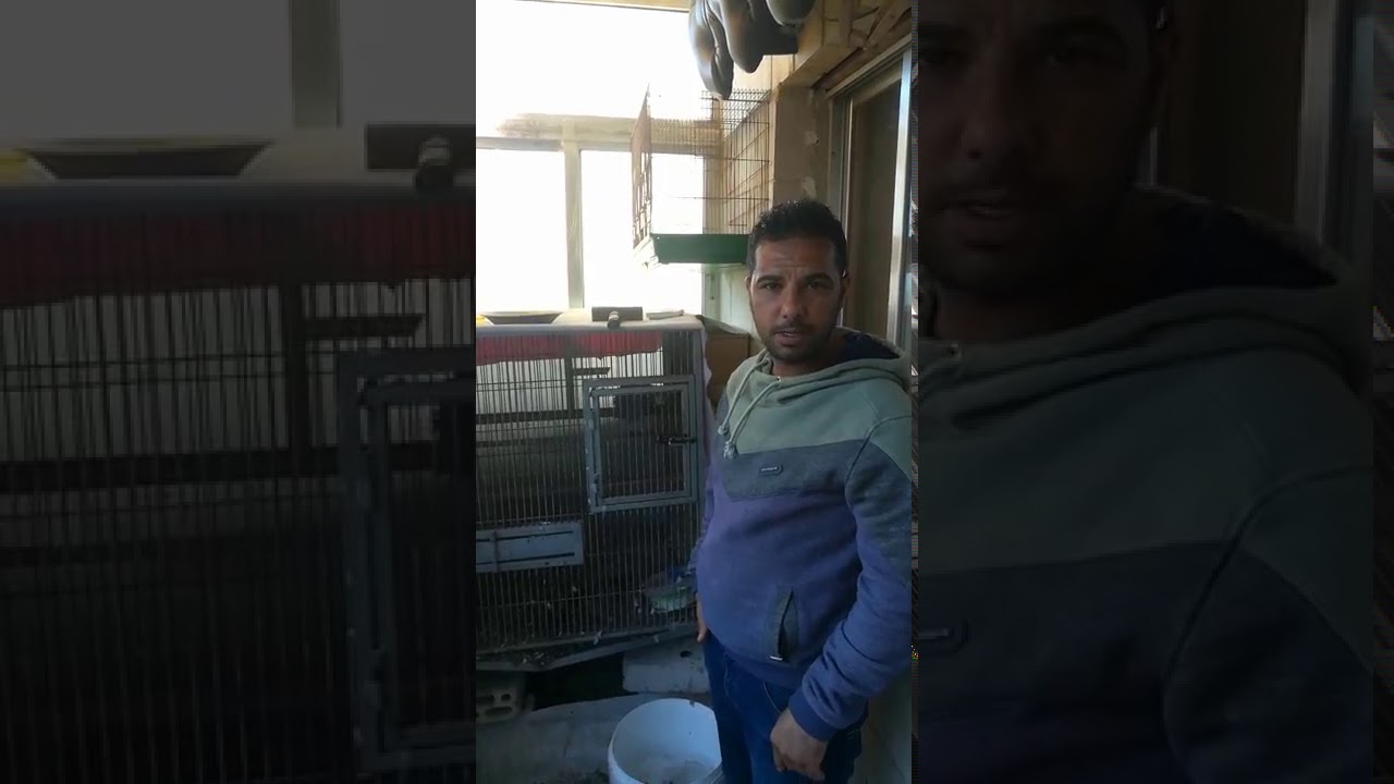 انتاج الكاسكو بالاردن انتاج اخوكم ميدو الشوبكي