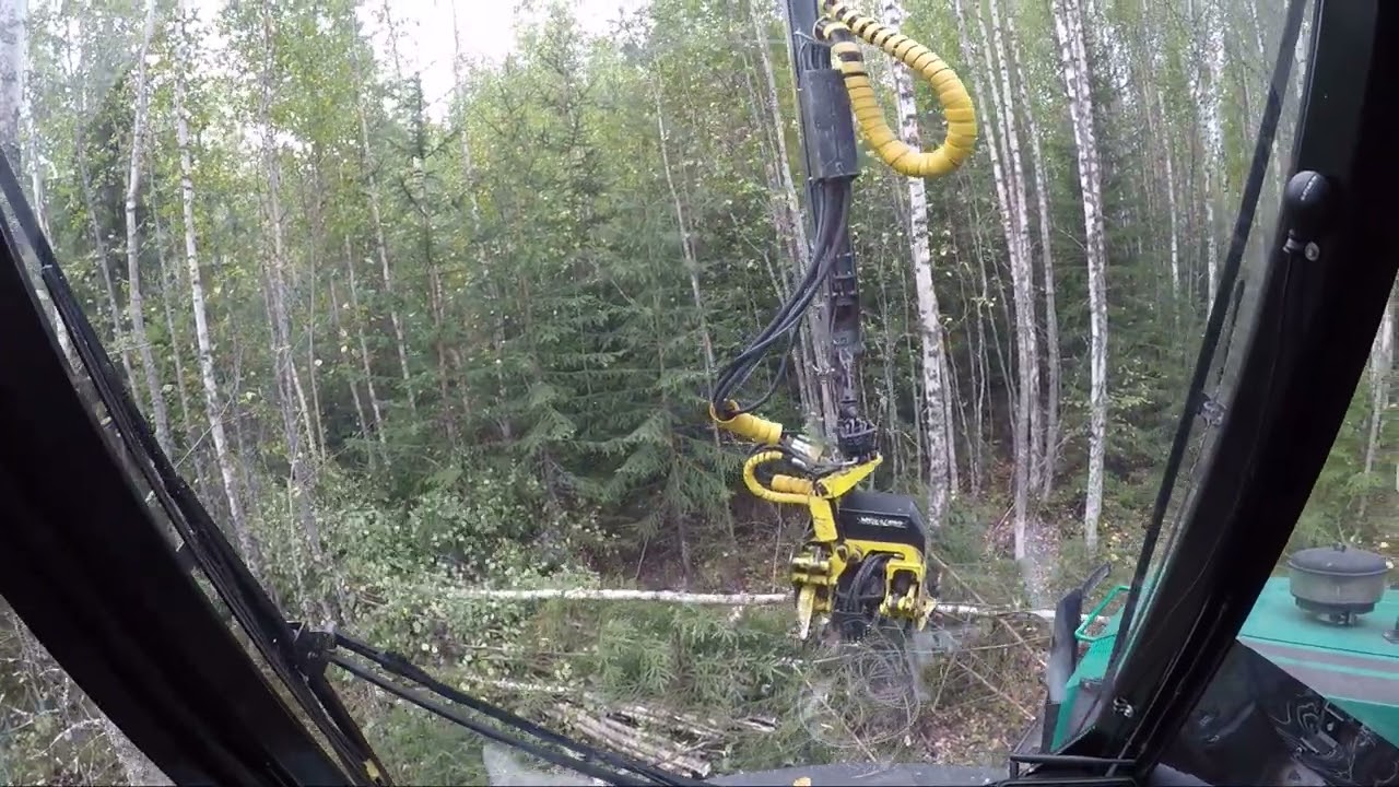 Logman 811C Combi, Moipu 250, energiapuun korjuu