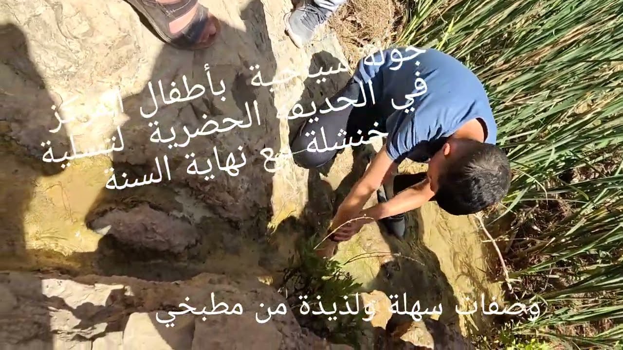 جولة سياحية جد. جد رائعة لاطفال المركز في حديقة التسلية 👍🏻💚💚💚