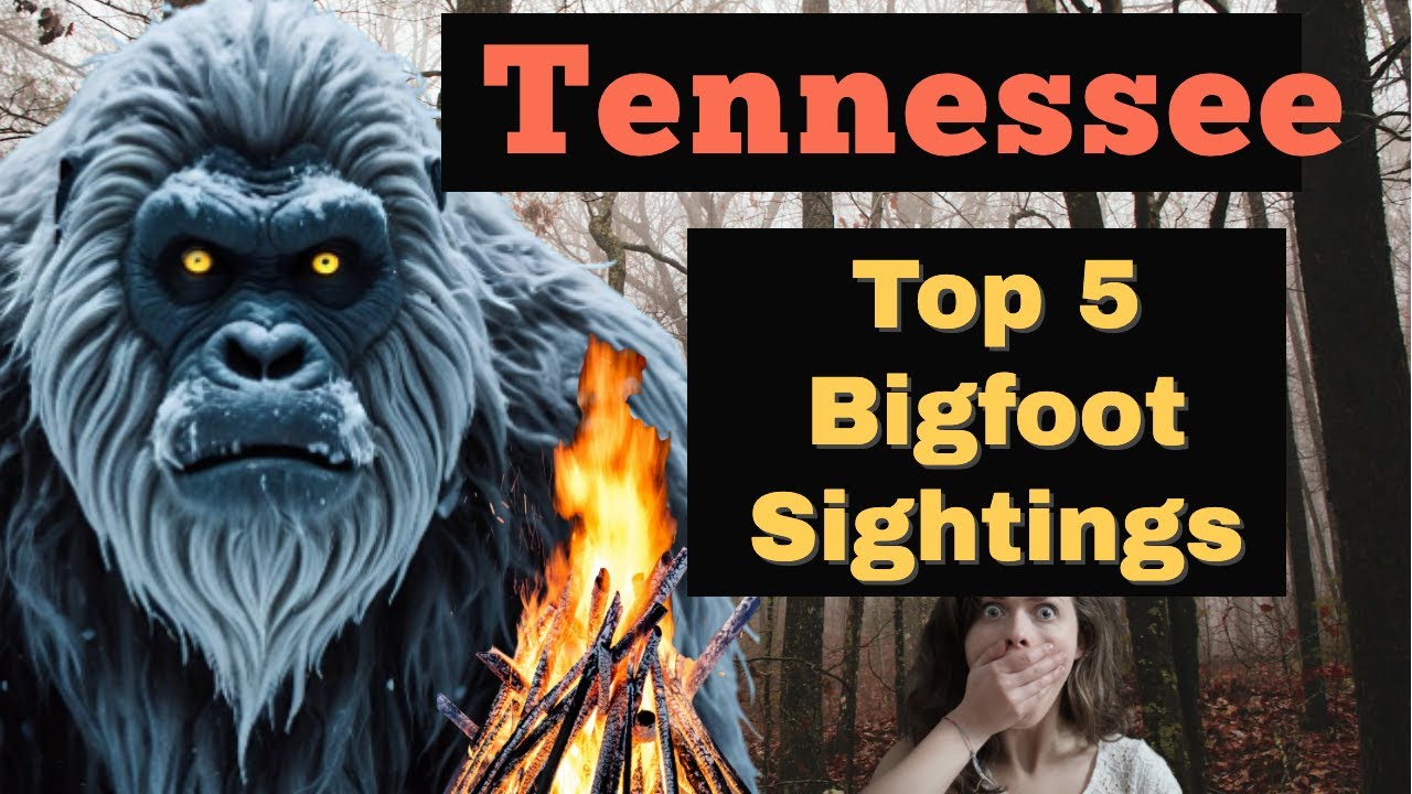 Top 5 Tennessee Bigfoot Sightings! Smoky Mountains Hide a Massive Secret Among The Foggy Hills!