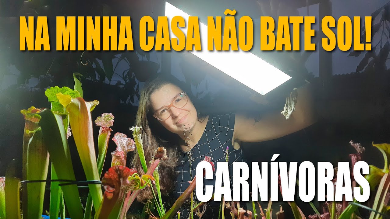 PLANTAS CARNÍVORAS | ILUMINAÇÃO ARTIFICIAL