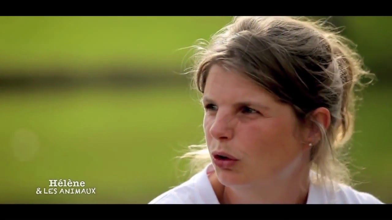 Reportage sur le refuge GroinGroin - France 5 - émission 