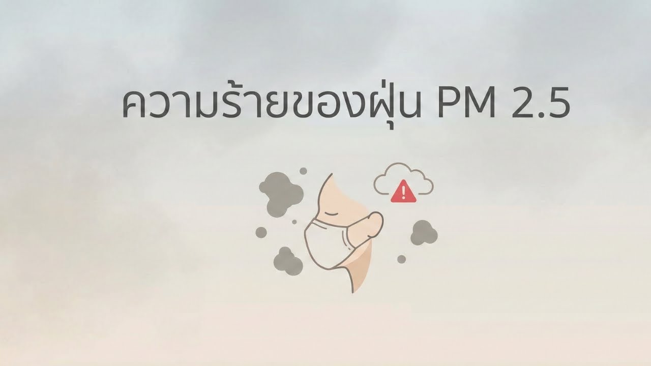 ความร้ายของฝุ่น PM 2.5