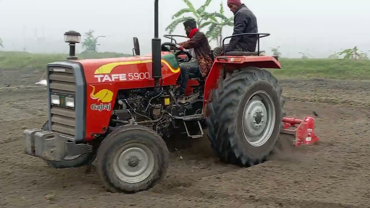TAFE5900DI Tractor Gajraj Cultivation | Land | TAFE Tractor | চাষের রাজা গজরাজ | কৃষক খুশি 🚜🥰 চাষ❤️🌹
