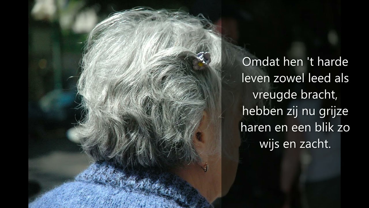 Ik heb eerbied voor jouw grijze haren