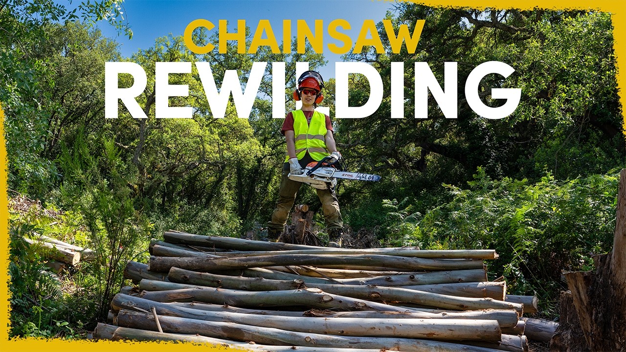 We Cut Down a Forest – Here’s Why