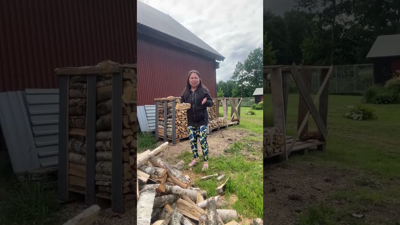 Lava Ved 🪵 to help the logs dry out and put it in a nice pile. #firewood #logs #skogen #youtube
