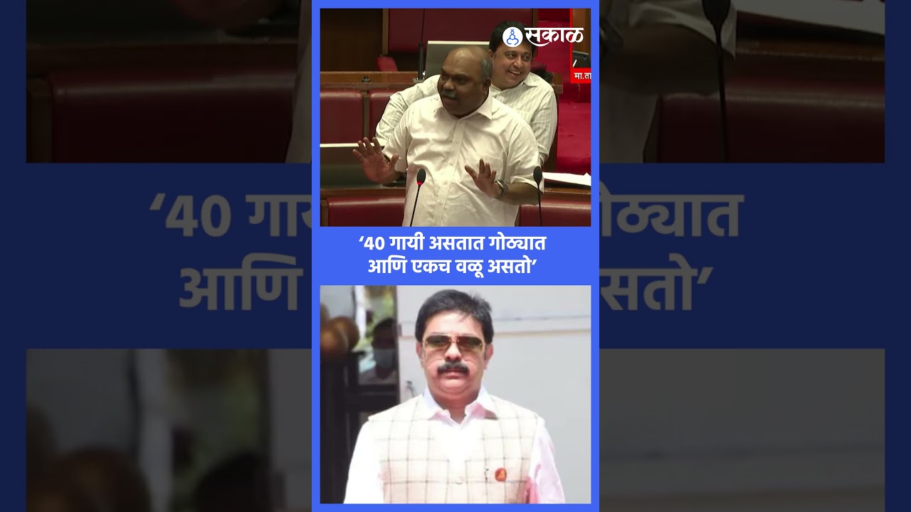 &lsquo;हा वळू कधी सुटला तर काय होईल?&rsquo; । anil parab, operation tiger, sakal news