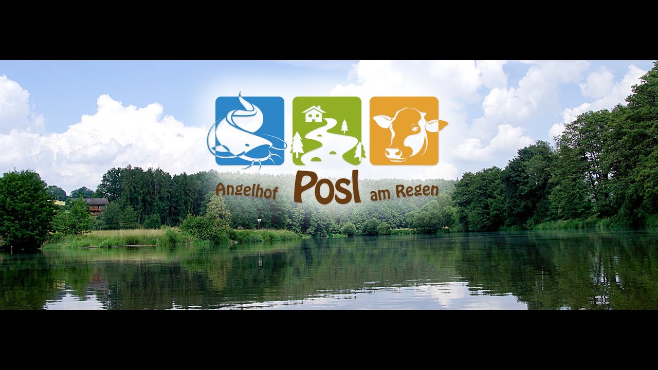 Angelurlaub am Regen - Fischbesatz 2022 - Brachsen und Zander