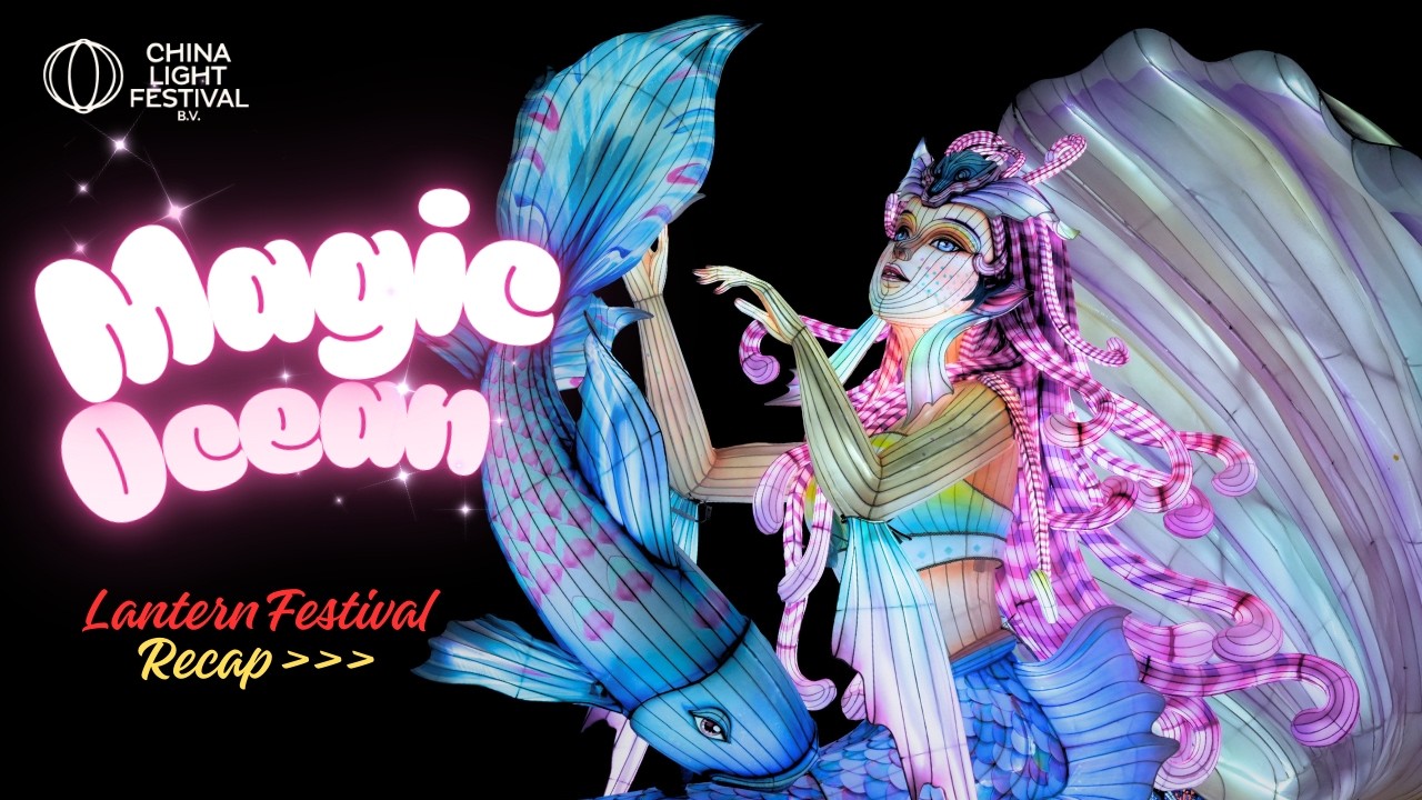 Magic Ocean Light Festival | Antwerp Belgium | 2025-2026