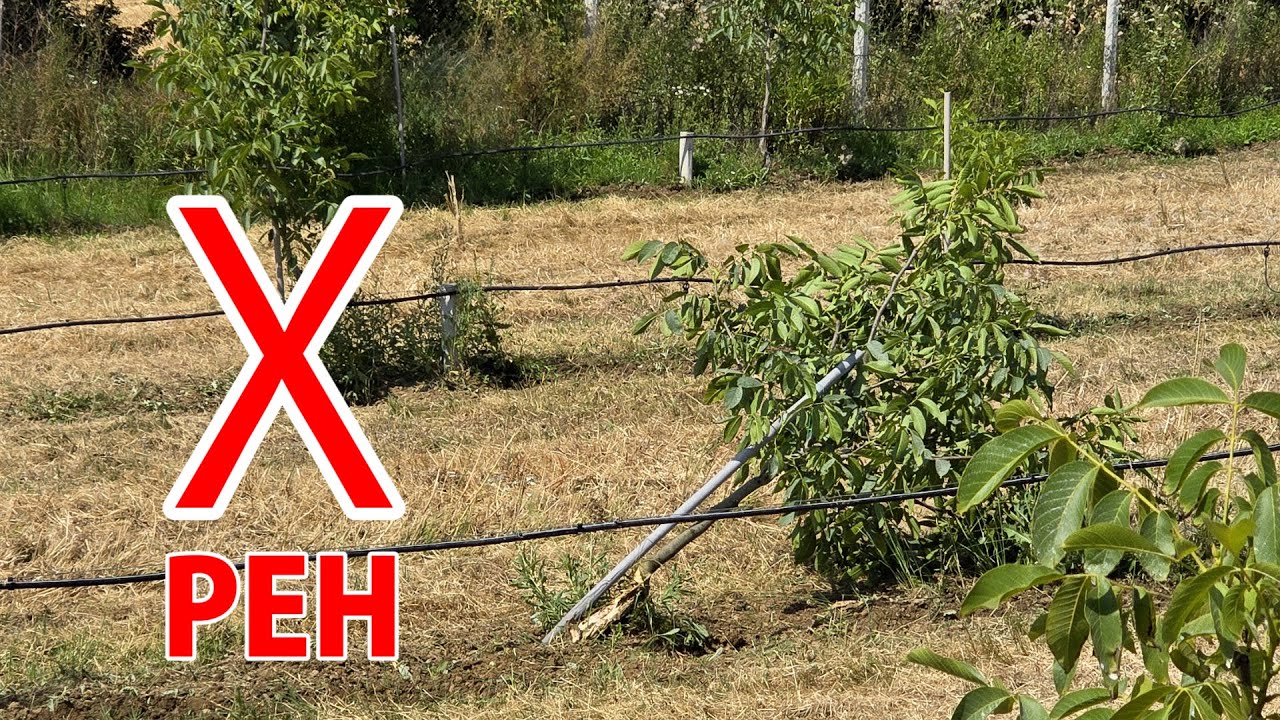 Freziranje JUL - mali peh i veliki peh