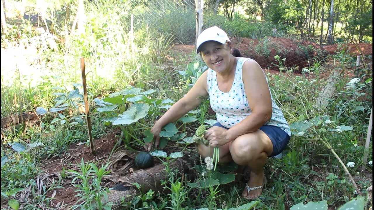 DICAS PARA O PLANTIO DA ABÓBORA CABOTIÁ