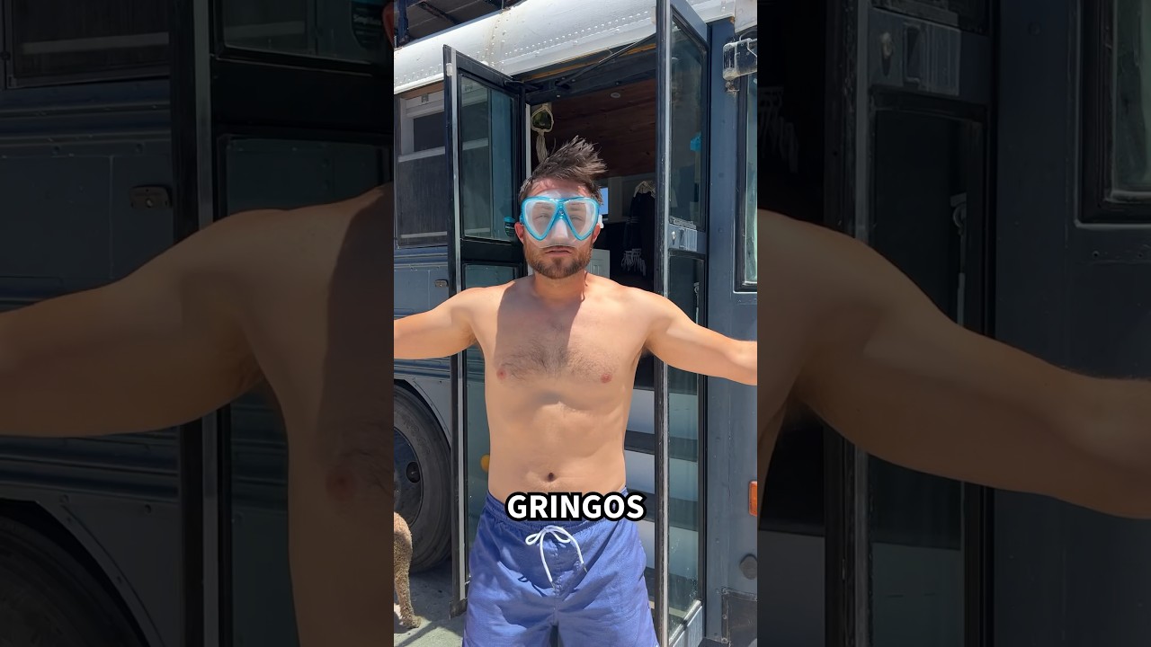The Final part of our slightly offensive tours! #buslife #vanlife #gaming #hometour #busconversion