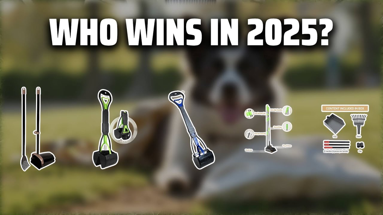 The Top 5 Best Pooper Scoopers in 2025 - Must Watch Before Buying!