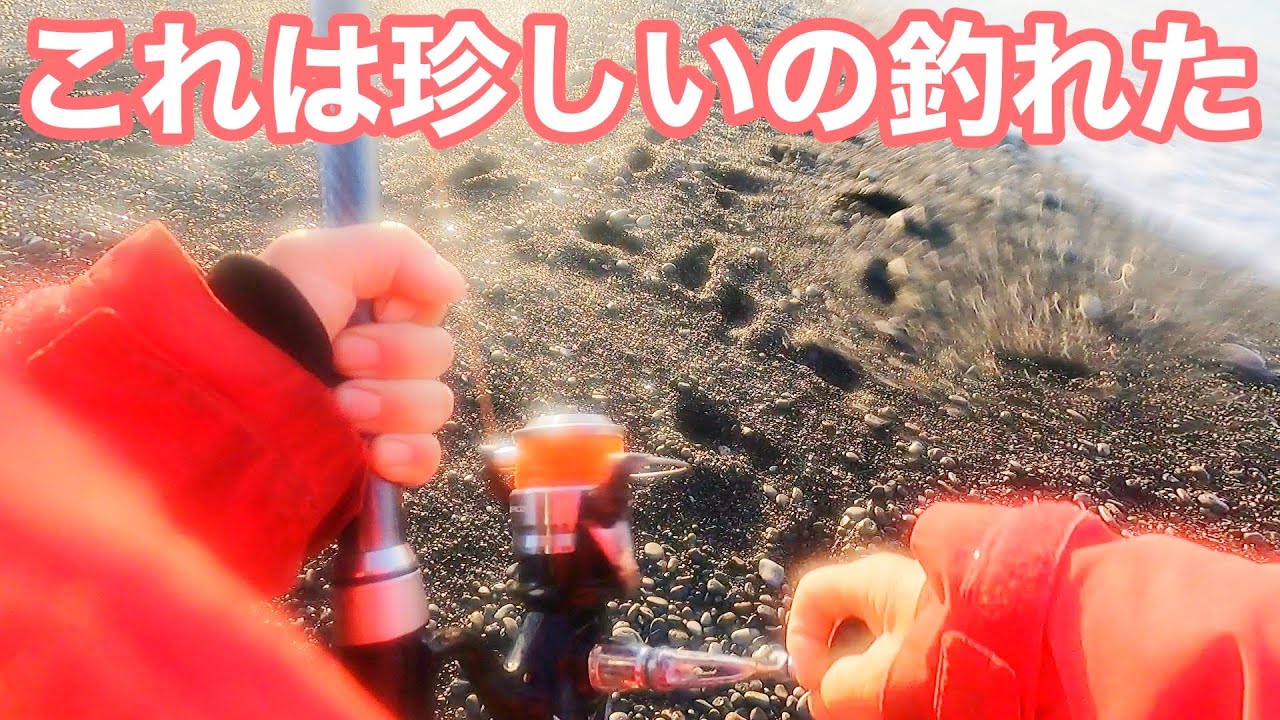 久しぶりにこの場所でこの魚釣りました！嬉し過ぎる【ショアジギング/飲ませ釣り】