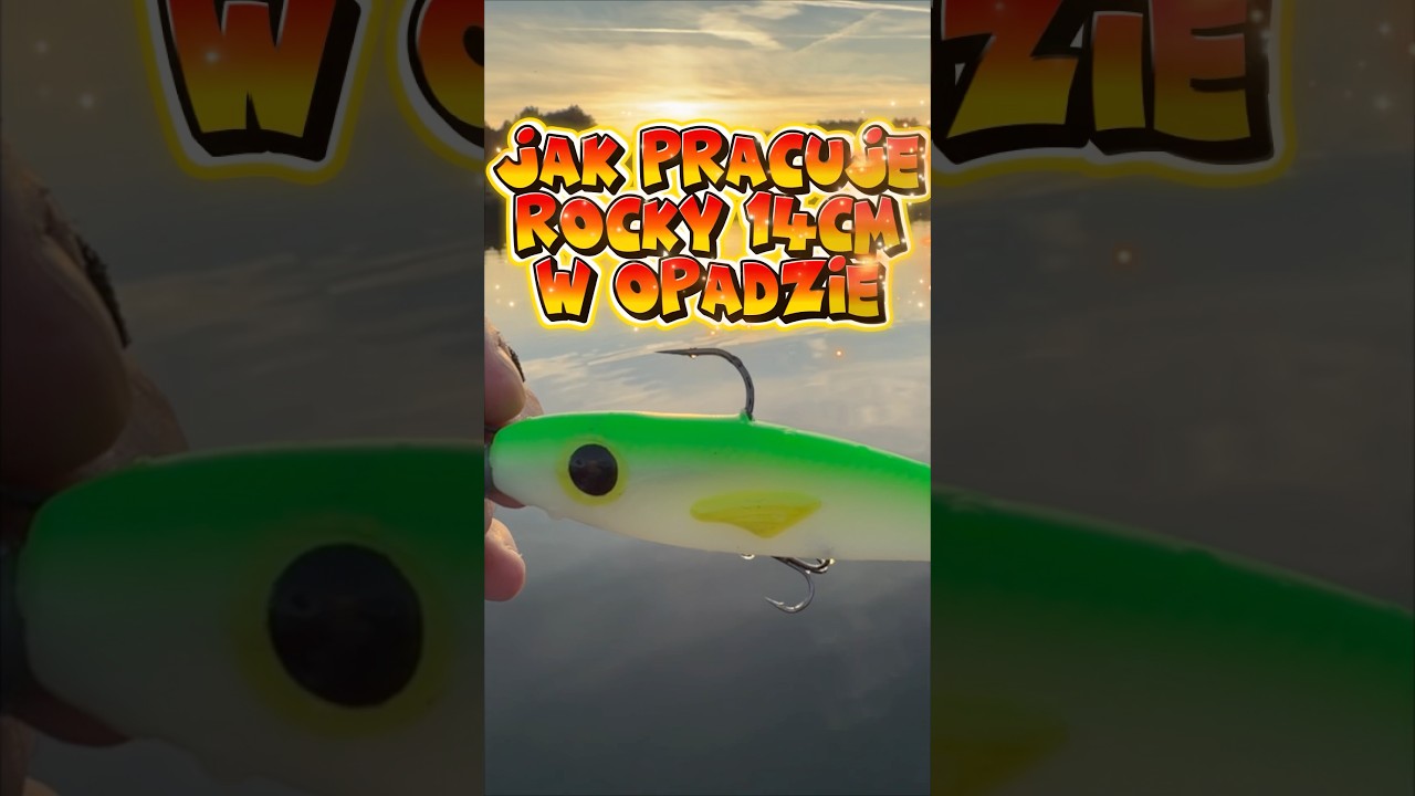Jak pracuje Rocky 14cm w opadzie.#fishing #greatfish #wedkarstwo #fishinglure #wedkarstwopolska