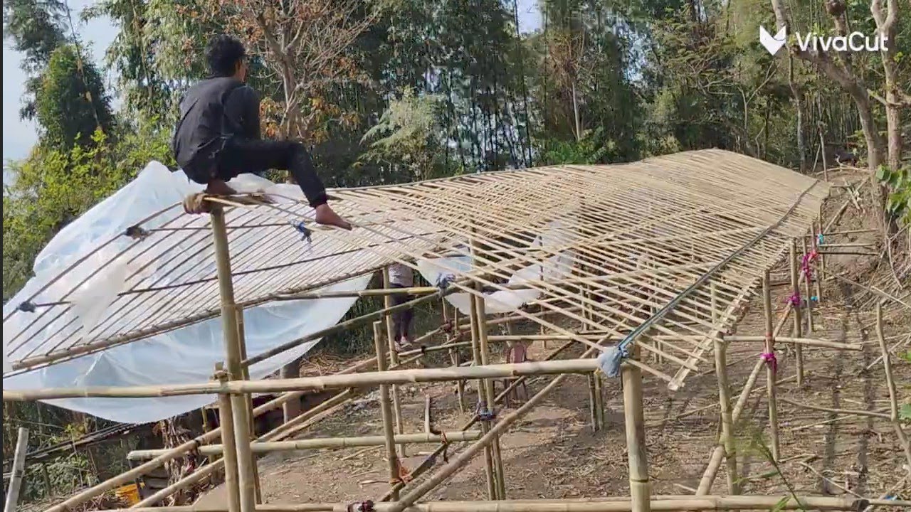 Bamboo Polyhouse Making #agriculturelife  #bamboo