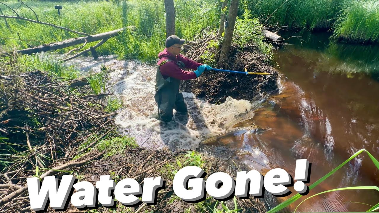It Drained Quite Fast!