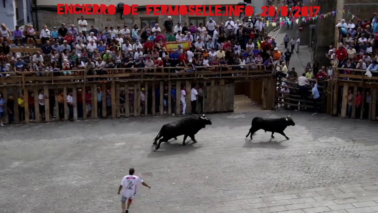 Encierro de Fermoselle 28/8/2017