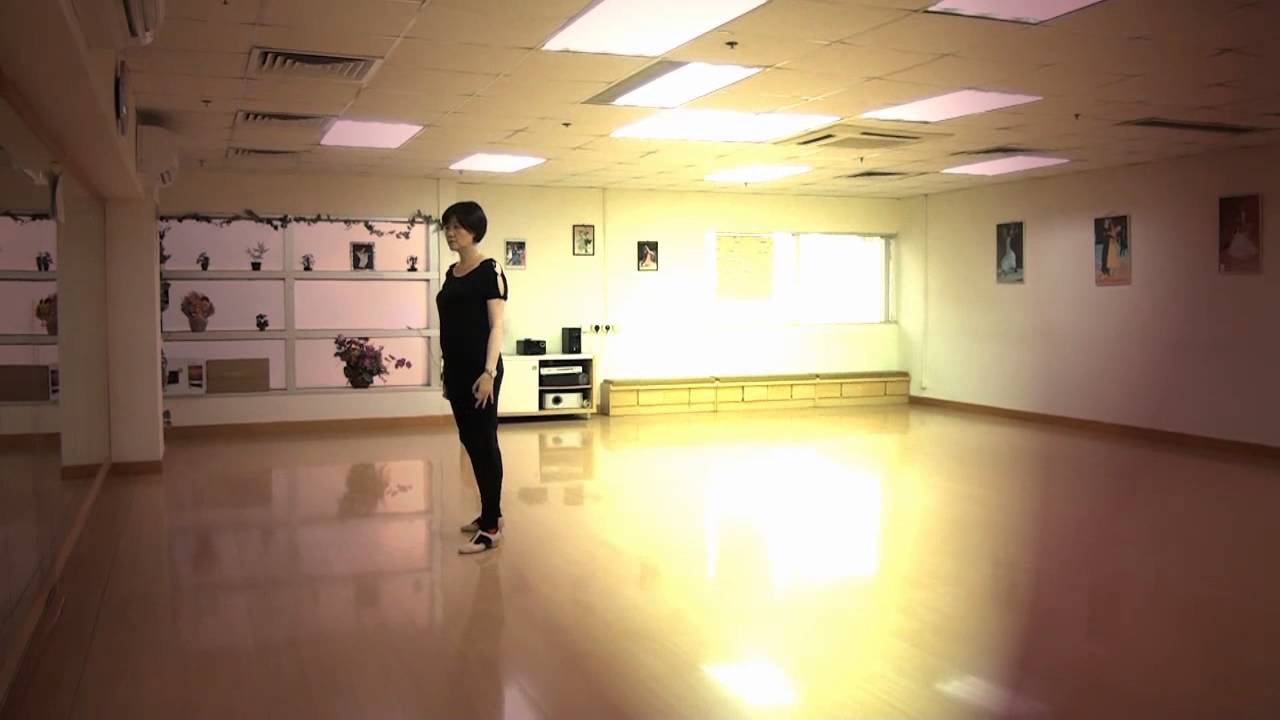 Skinny Love by Roy Hadisubroto and Raymond Sarlemijn (Line Dance)