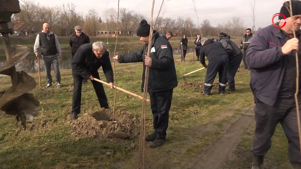 U SLUŽBI GRAĐANA - JVP ,,Vode Vojvodine“ započelo godišnju akciju pošumljavanja