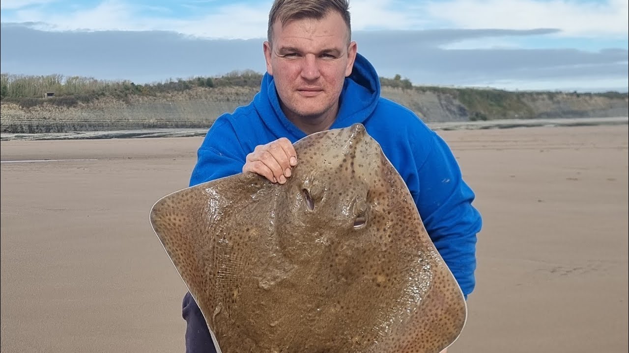 blonde Ray fishing in South Wales sea fishing uk