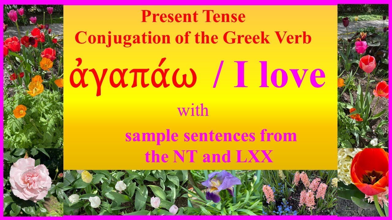 Present Tense Conjugation of the Greek Verb ἀγαπάω / I love with examples from the NT and LXX